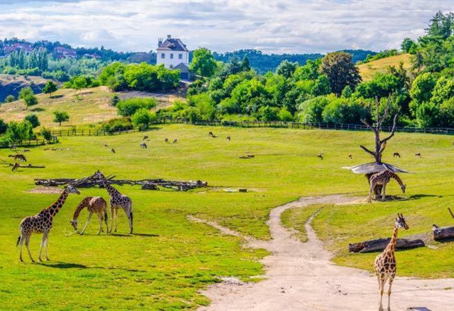 Lovely Apartment, Garden, Parking, Wifi, Netflix Praga Exterior foto